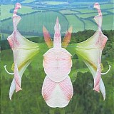 Yunomi - Amaryllis Dream