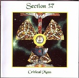 Section 37 - Critical Mass - The Order Of Confirmation