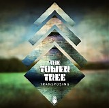 Towers And Trees - Transposing