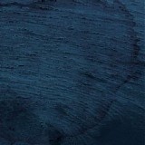 Multicast Dynamics - Aquatic System
