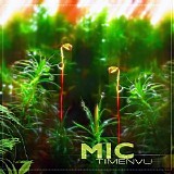 MIC - Timenvu