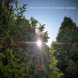 The Ambient Visitor - This Miracle Called Life