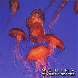 Numina - Ambient Ping Radio Almost Live In The Studio