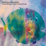 Zreen Toyz & Saccomani - Thermal Balance Of Igloo In Melting Stage