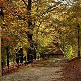 Horn Krzysztof - Park in the Autumn (Single)