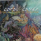 Coral Caves - Voice From A Distance