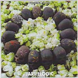 Timescape - Jarrelogic