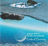 Smith Steve & The Tylas Cyndrome - Pools Of Diversity