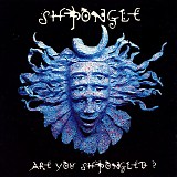 Shpongle - Are You Shpongled?