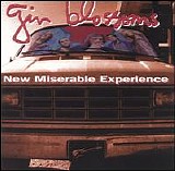 Gin Blossoms - New Miserable Experience