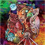Various artists - The Tribute to Syd Barrett
