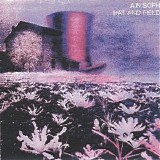 Ain Soph - Hat and Field