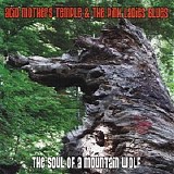 Acid Mothers Temple, the Pink ladies blues - The soul of a mountain wolf