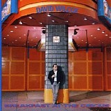 David Wilcox - Breakfast at the Circus