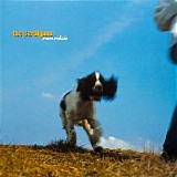 The Cardigans - Emmerdale (Remastered 2019)