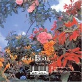 Harold Budd - Avalon Sutra