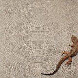 PrOcEsSuS - Pas Perdus