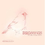 Juliana Richer Daily - Birdsongs EP