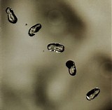 Peter Gabriel - Up