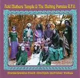Acid Mothers Temple & The Melting Paraiso U.F.O. - Troubadours From Another Heavenly World