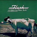 Flash - In Public