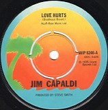 Jim Capaldi - Love Hurts