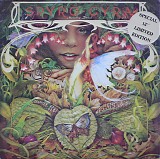 Spyro Gyra - Morning Dance