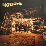 Blossoms - Blossoms