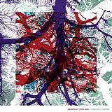 Silversun Pickups - Widow's Weeds