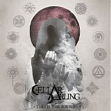 Cellar Darling - This Is the Sound