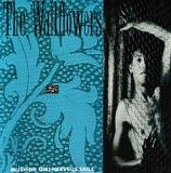 The Wallflowers - Blushing Girl Nervous Smile