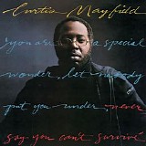 Curtis Mayfield - Never Say You Can't Survive