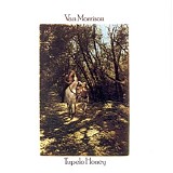 Van Morrison - Tupelo Honey