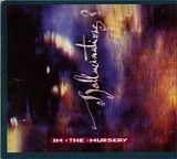 In The Nursery - Hallucinations? single