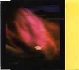 Joy Division - Love Will Tear Us Apart single
