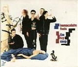 Immaculate Fools - The Toy Shop