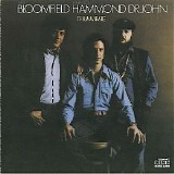 Mike Bloomfield - John Hammond - Dr John - Triumvirate
