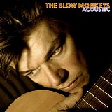 The Blow Monkeys - Acoustic