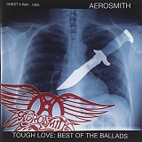 Aerosmith - ICON