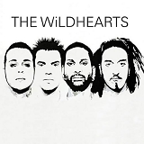 WILDHEARTS - Wildhearts