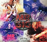 Mr. Big - Live From Milan
