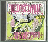 The Dogs D'Amour - Straight