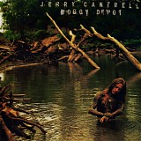 Jerry Cantrell - Boggy Depot