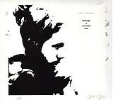 Rich Robinson - Through A Crooked Sun