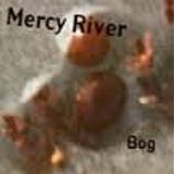 Mercy River - Bog
