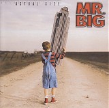 Mr. Big - Actual Size