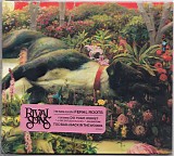Rival Sons - Feral Roots