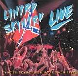 Lynyrd Skynyrd - Southern By The Grace Of God: Lynyrd Skynyrd Tribute Tour 1987