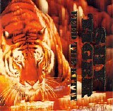 Shy Tiger - Feed The Kitty