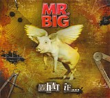 Mr. Big - What If...